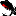 pictus