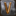 pve-prox-bluez10-steamlibrary-steamapps-common-valheim-valheim-exe