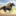 rivalstarshorseracing-exe