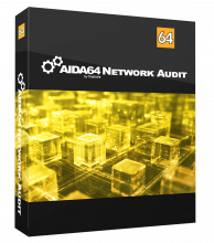 Logo for AIDA64 Network Audit