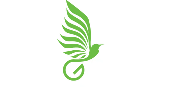 Logo for Age of Empires II: HD Edition