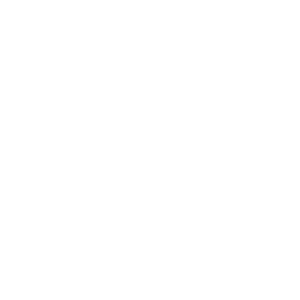 Logo for Beatport Pro