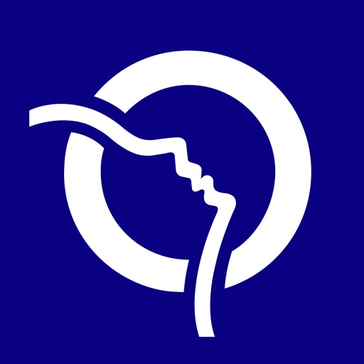 Logo for Bonjour
