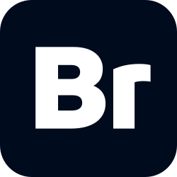 Logo for Adobe Bridge