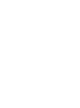Logo for BullVPN