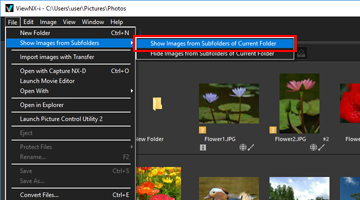 Logo for Capture NX-D
