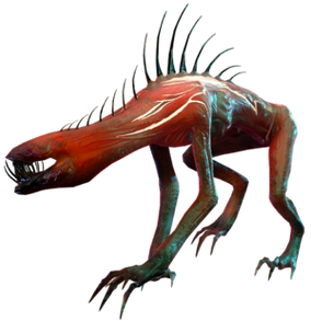 darkwood-exe