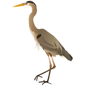 Logo for Egret Wing