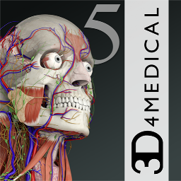 Logo for Essential Anatomy