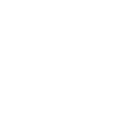 Logo for Football Manager 2020
