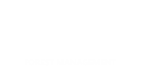 Logo for Forte Agent