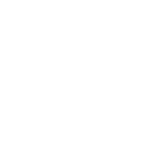 Logo for Game Stock Car