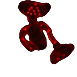 Logo for Glowing Bear
