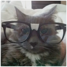 Logo for Hexcells Infinite