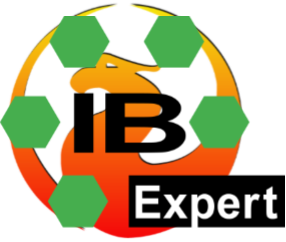 Logo for IBExpert