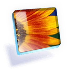 Logo for Macromedia Projector