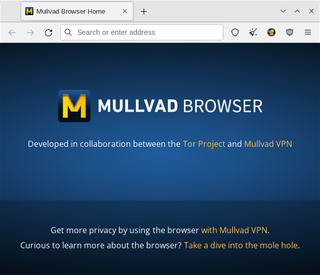 Logo for Mullvad Browser