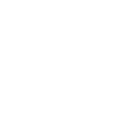 Logo for NetSupport School Tech Console