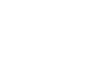 Logo for NetWitness Investigator