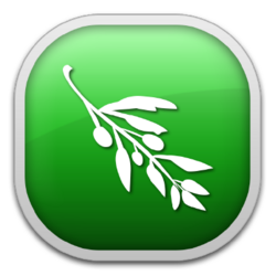 Logo for Olive Video Editor