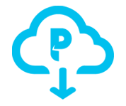 Logo for PlayOn
