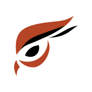 Logo for Raptoreum-Qt (Raptoreum Wallet)