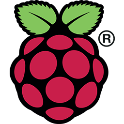 Logo for Raspberry Pi Imager