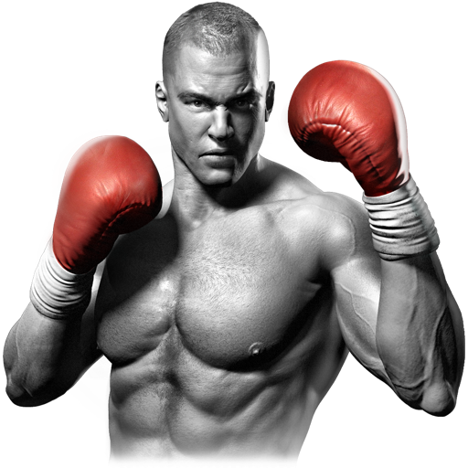 Logo for Real Boxing