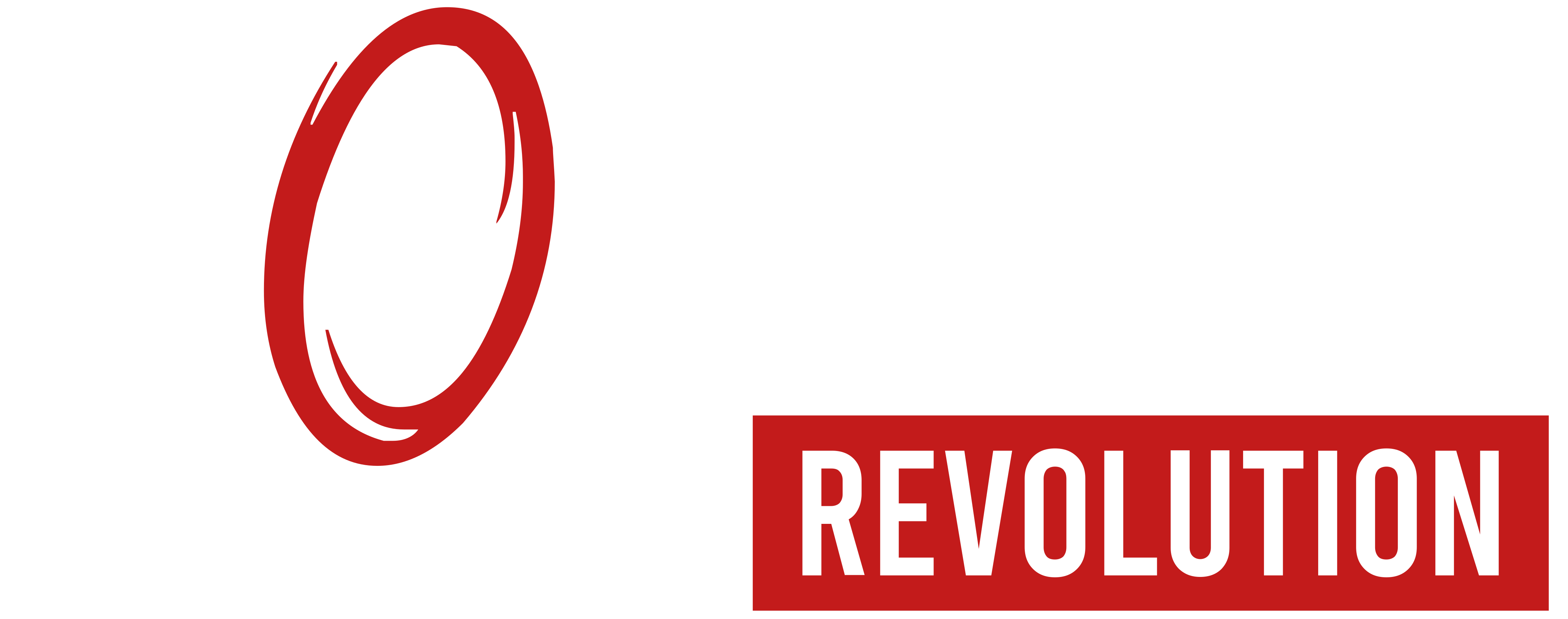 Logo for revolution.exe