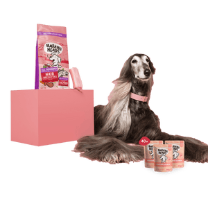 Logo for Sighthound Video