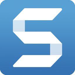 Logo for Snagit 8
