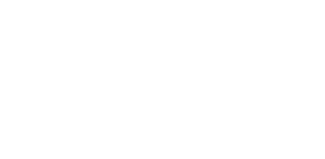 Logo for Twin Mirror