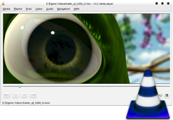 Logo for VLC Media Player Portable