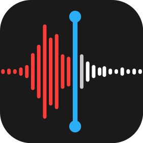Logo for Voice Memos