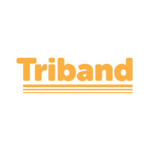 Logo for What the Golf?