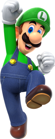 Logo for Wii Backup Manager