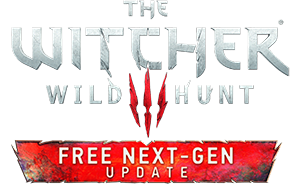 witcher3-exe