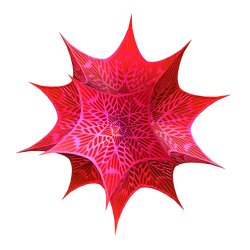 Logo for Wolfram Mathematica 13.1