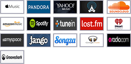 Logo for Wondershare Streaming Audio Recorder