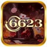 6623vnshop