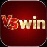 VSWINVin
