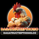 dagatructiepthomoco
