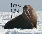 Banana_cream_PI