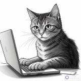 ~Typing_Cat~