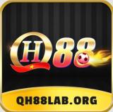 QH88laborg