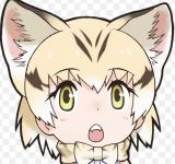 sunaneko