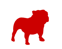 Logo for BullGuard Ltd.