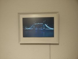 Logo for Livestreamer (chrippa — open-source project)