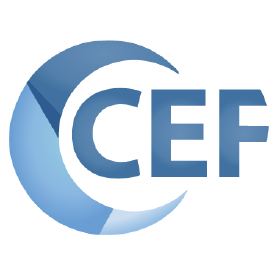Logo for Chromium Embedded Framework (CEF) project