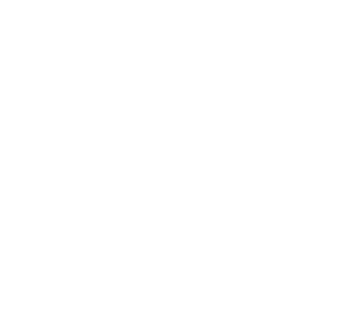 Logo for Nordic Semiconductor ASA
